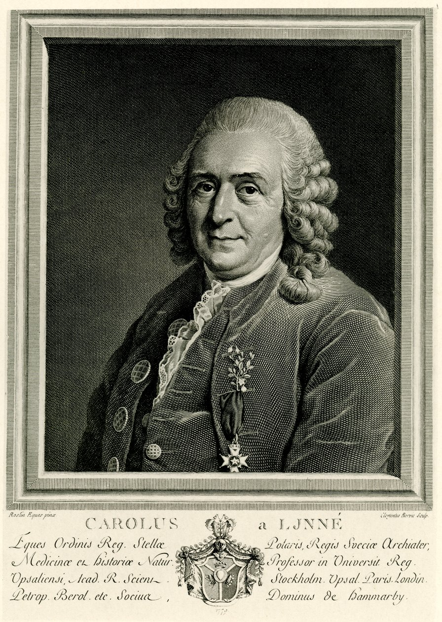 Karl von Linné de German School
