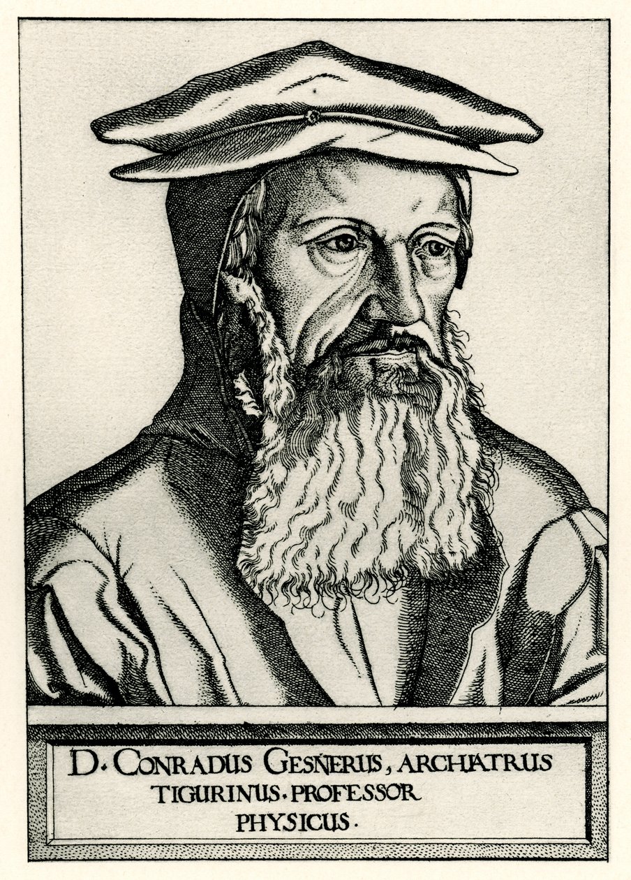 Konrad Gesner de German School
