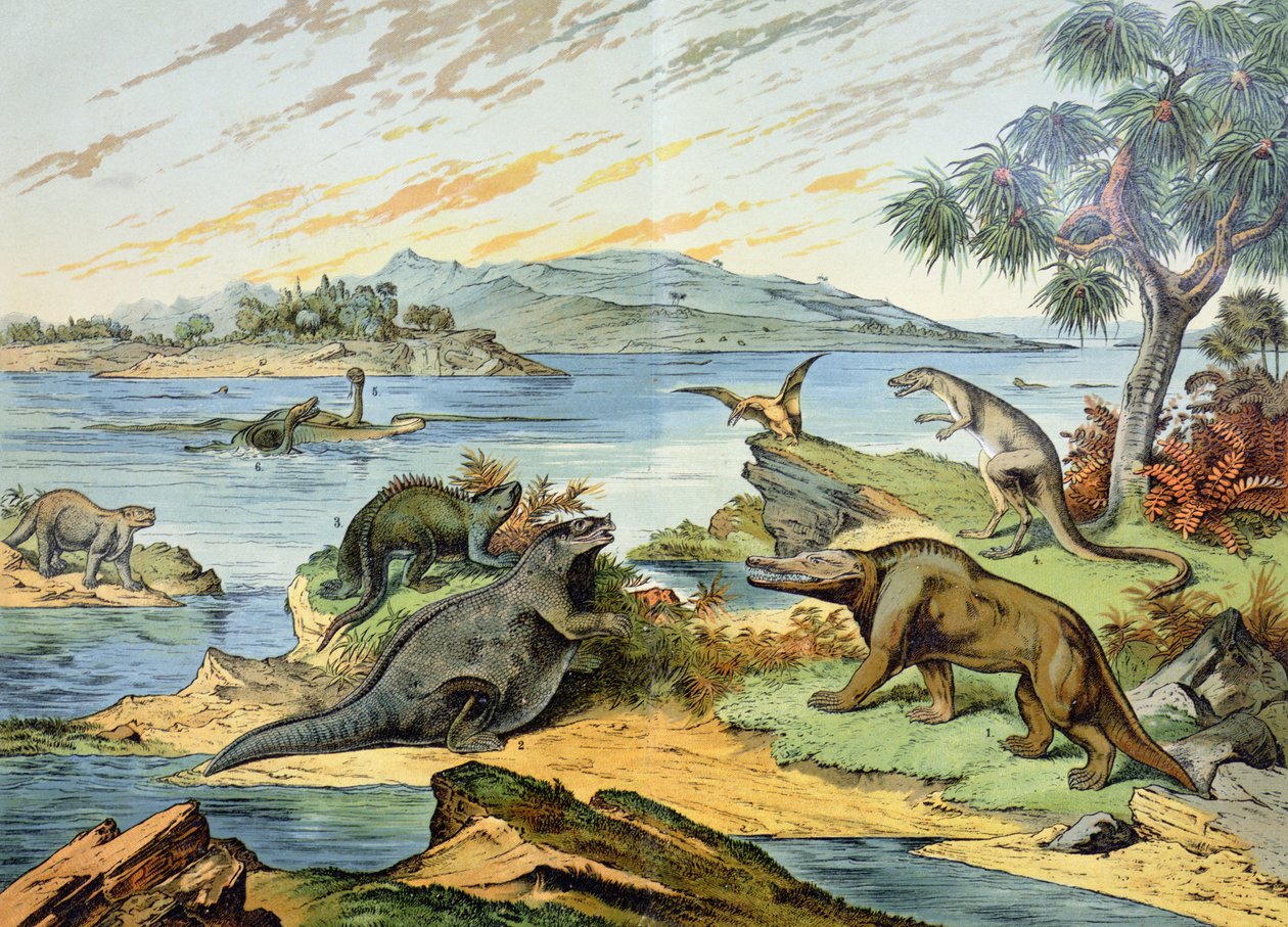 Paisagem retratando o período Cretáceo (146 a 65 milhões de anos atrás) ilustração da História Natural da Mineralogia e Paleontologia por GH von Schubert, 1888 de German School