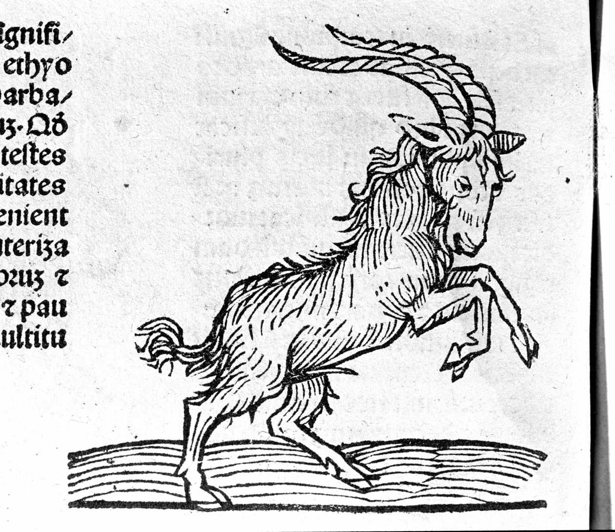 Le Capricorn - em Tratado por Johannes Angeli De Magnisconnectionibue annorum revolutionibus ac eorum pefectionibus. Augsburg, Erhard Ratdolt de German School