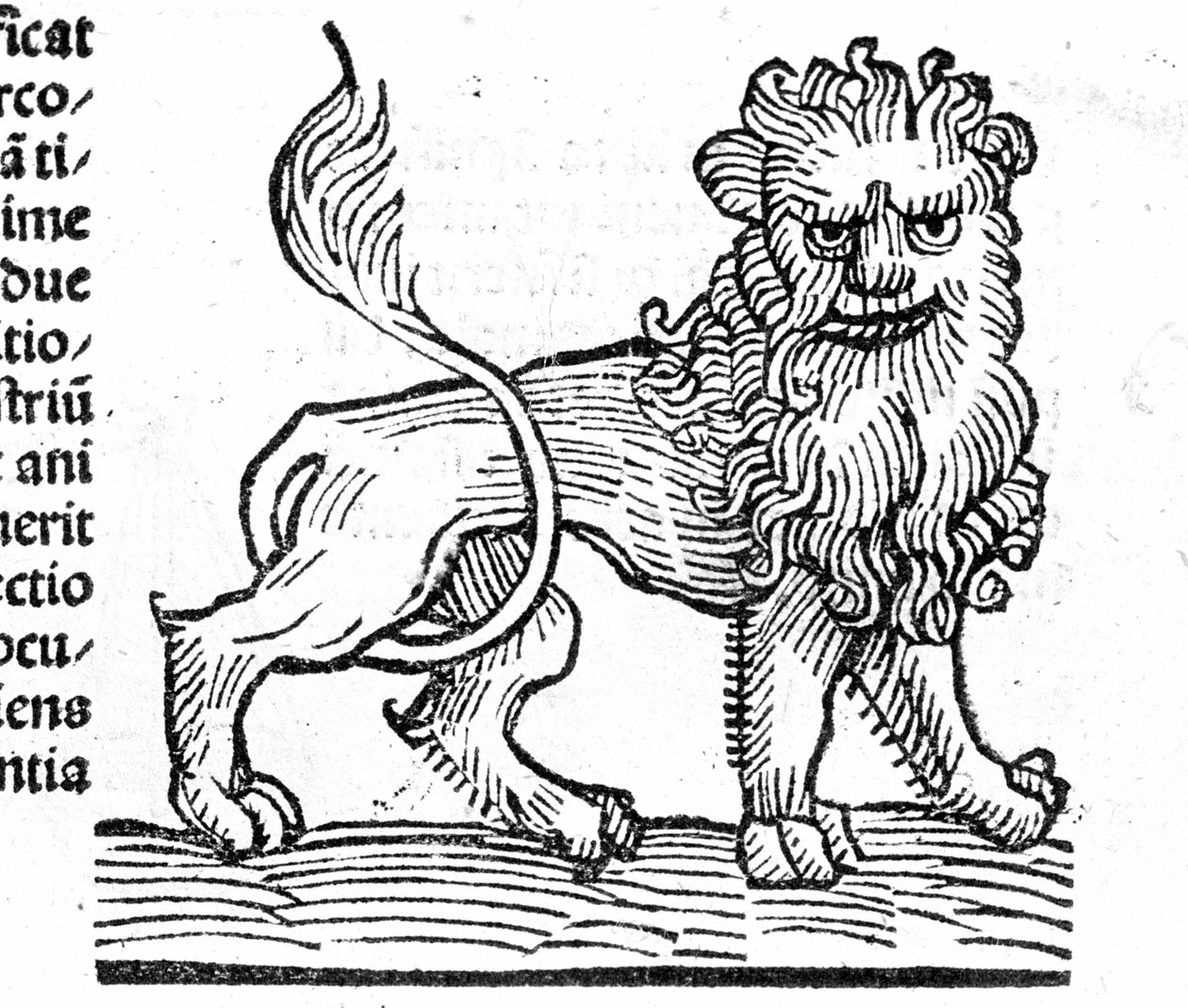 Le Lion - em Tratado por Johannes Angeli De Magnisconnectionibue annorum revolutionibus ac eorum pefectionibus. Augsburg, Erhard Ratdolt de German School