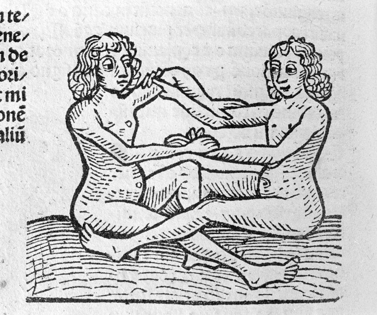 The Gemini - em Tratado por Johannes Angeli De Magnisconnectionibue annorum revolutionibus ac eorum pefectionibus. Augsburg, Erhard Ratdolt de German School