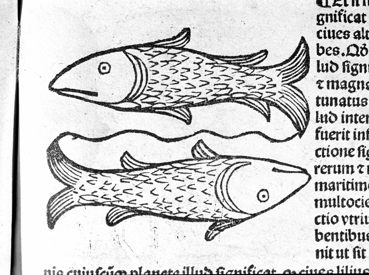 Les Pisces - em Tratado por Johannes Angeli De Magnisconnectionibue annorum revolutionibus ac eorum pefectionibus. Augsburg, Erhard Ratdolt de German School