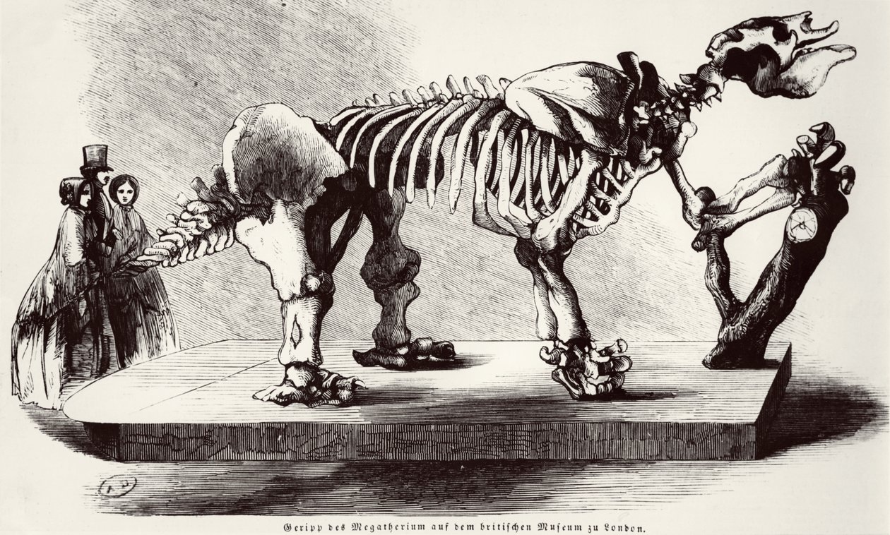 Megatherium Skeleton no Museu Britânico de German School