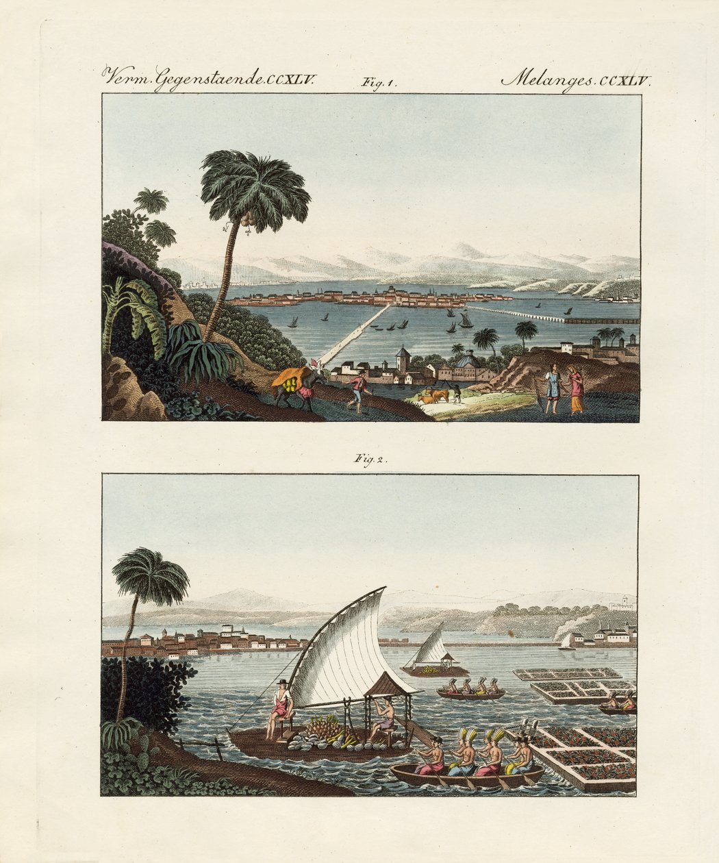 México-Cidade com seus cenários e jardins de natação (gravação colorida) de German School