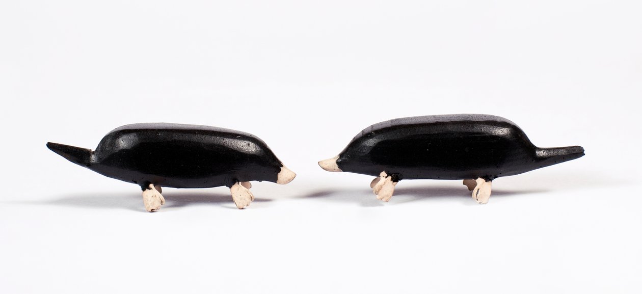 Toupeiras de uma arca de Noé, c.1840 (madeira pintada) de German School