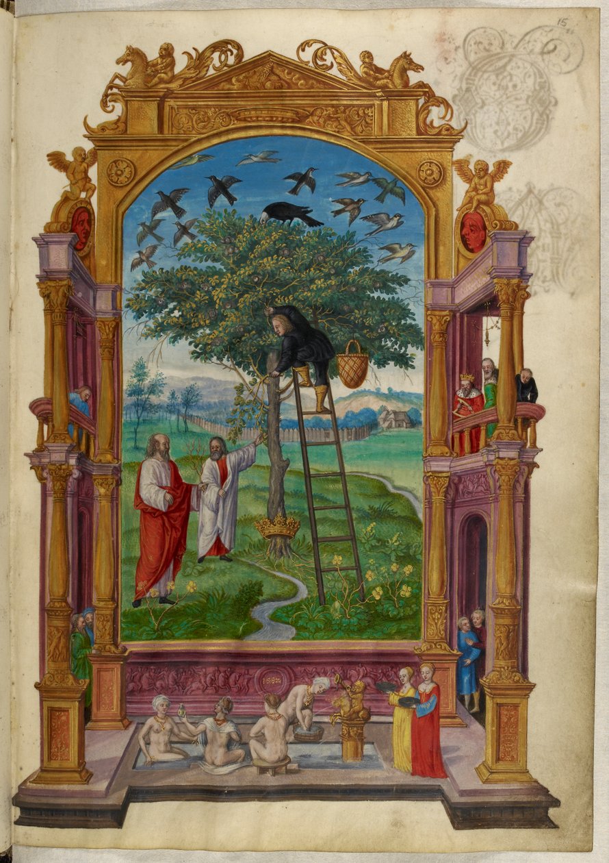 Ms Harley 3469, f.15 Árvore dourada com coroa, a Outra Parábola, de 