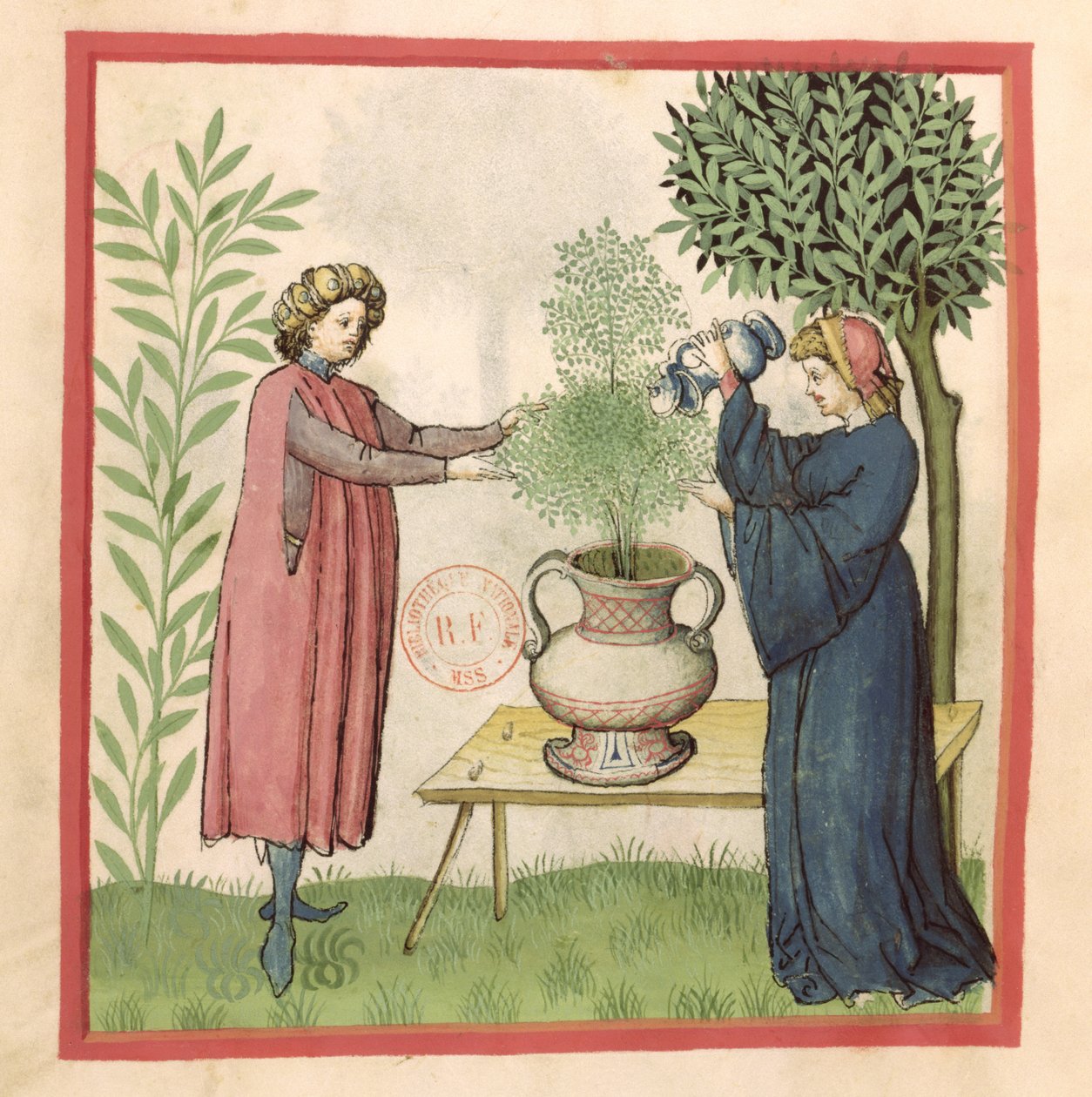 Senhora Lat 9333 fol.30 manjerona, de Tacuinum saudável de German School