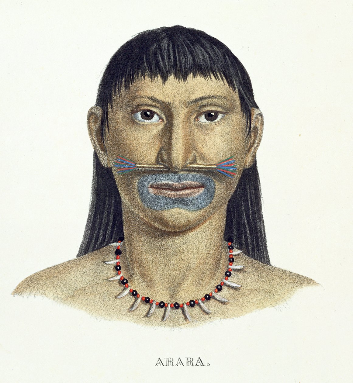 Homem nativo da tribo Arara com pintura de rosto azul, de Atlas of a Journey in Brazil de Johann Baptist von Spix (1781-1826) e Karl Friedrich Philipp Martius (1794-1868), publicado em 1835-50 (cor de German School