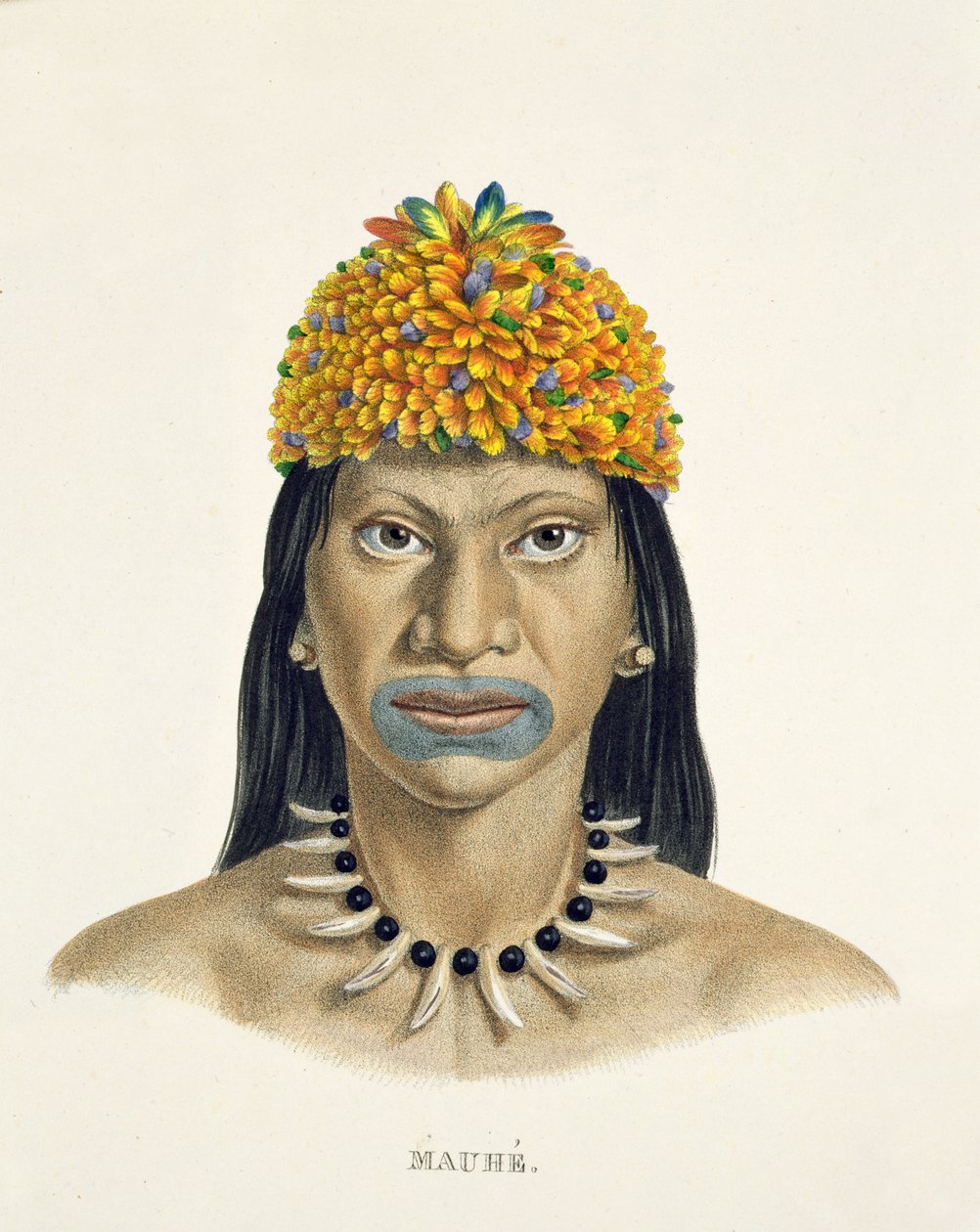 Homem nativo da tribo Mauhe, com cocar de pequenas penas azuis e laranjas, de Atlas of a Journey in Brazil de Johann Baptist von Spix (1781-1826) e Karl Friedrich Philipp Martius (1794-1868) de German School