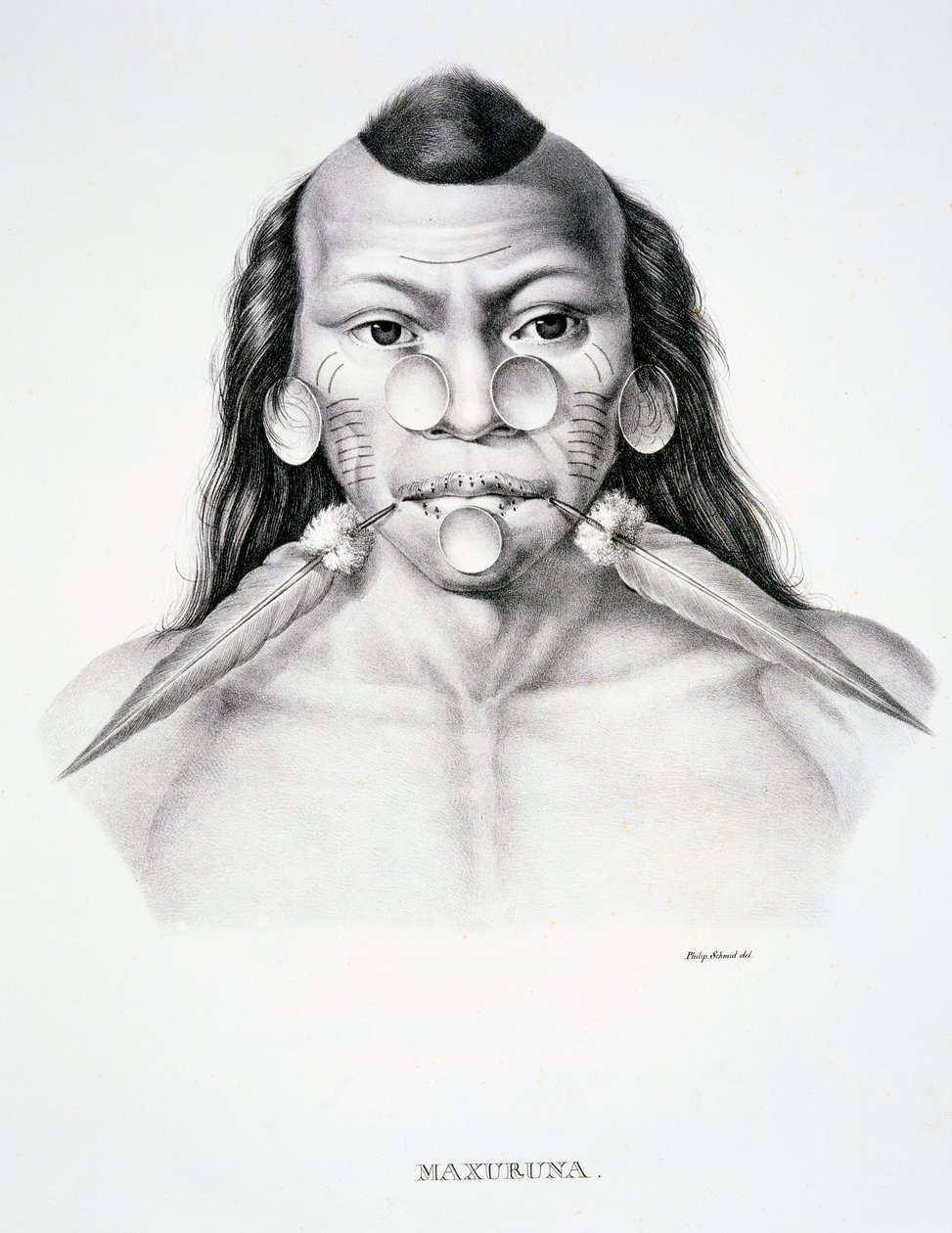 Homem nativo da tribo Maxuruna, com decoração facial, da Atlas of a Journey in Brazil de Dr von Spix e Dr von Martius de German School