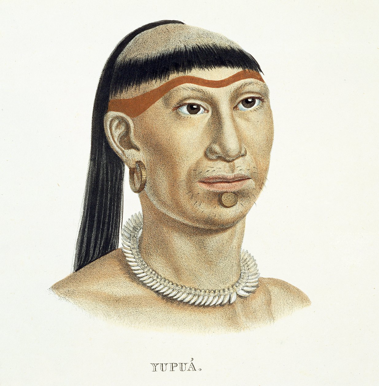 Homem nativo da tribo Yupua, de cabelos arrancados e raspados, e colar de dentes de animais, da Atlas of a Journey in Brazil de Johann Baptist von Spix (1781-1826) e Karl Friedrich Philipp Mar de German School