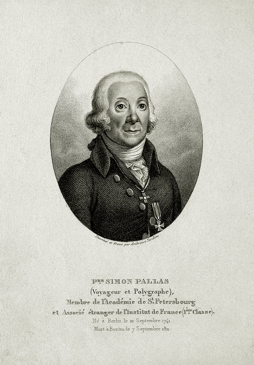 Peter Simon Pallas. (1741 - 1811) (Gravação em linha) de German School