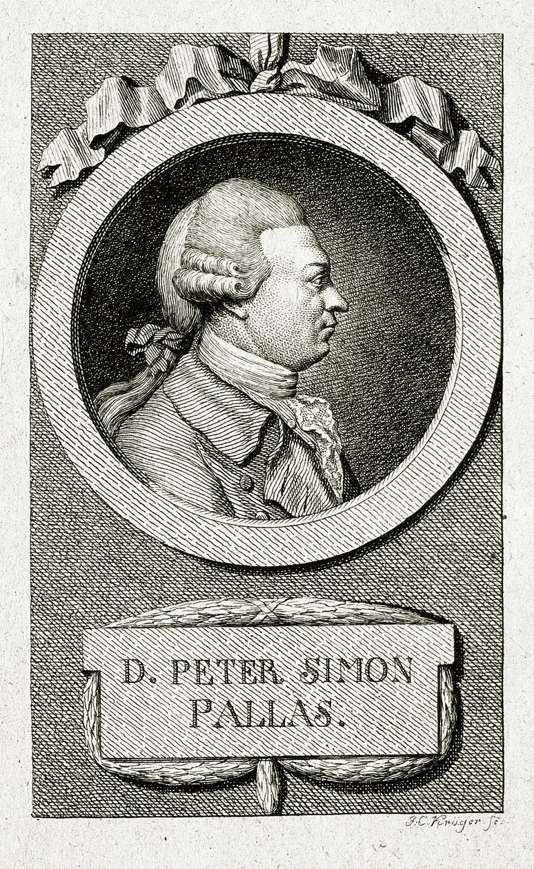 Peter Simon Pallas. (1741 - 1811) (Gravação em linha) de German School
