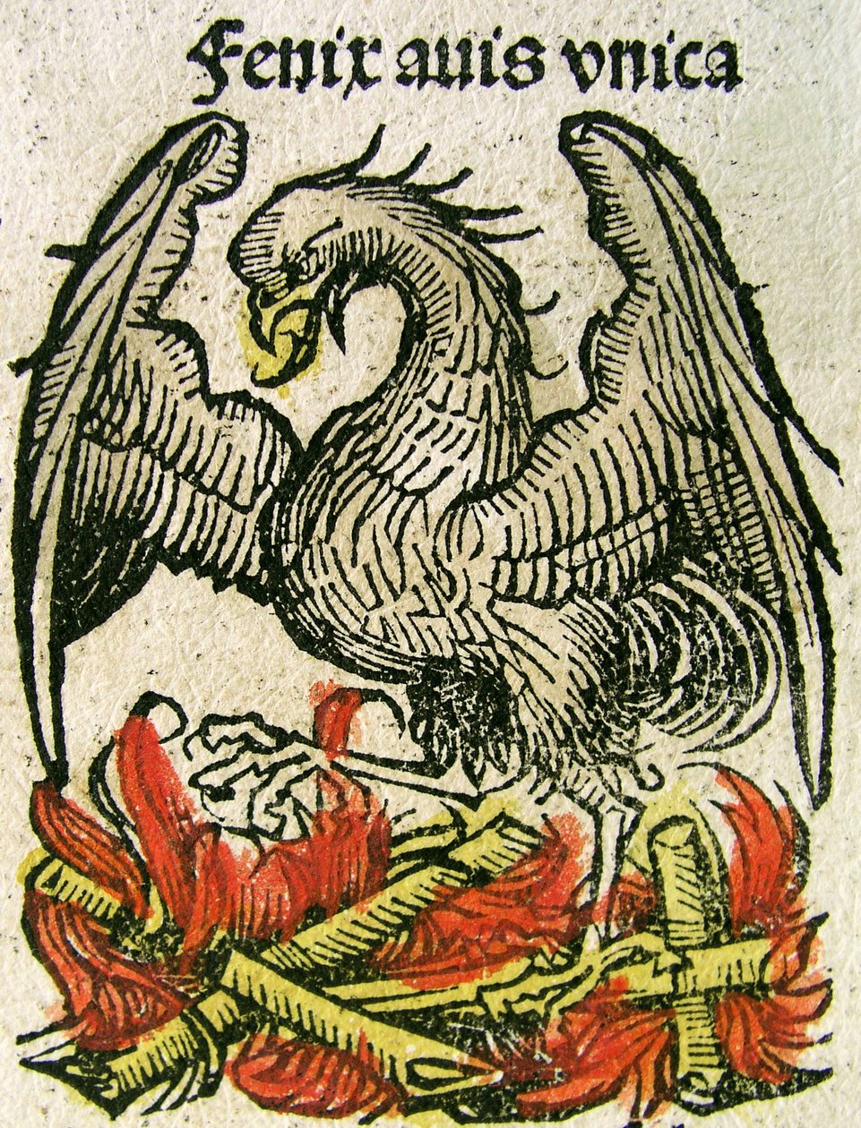 Phoenix publicou no Nuremberg Chronicle, 1493 de German School