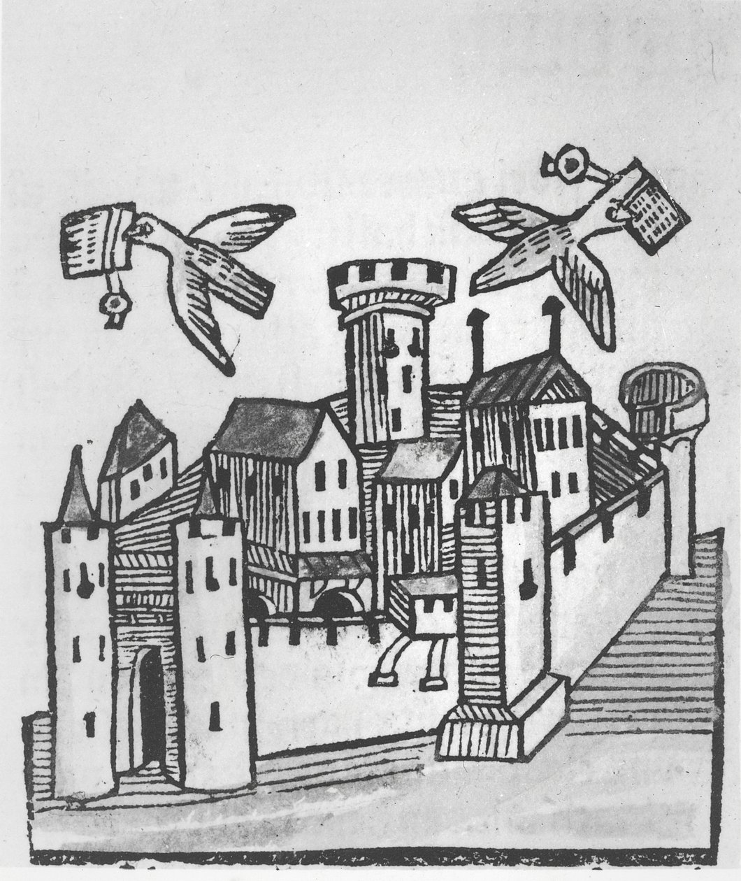 Columbofilia de German School
