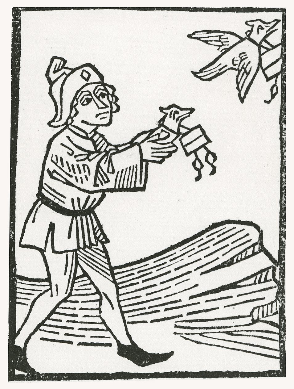 Columbofilia de German School