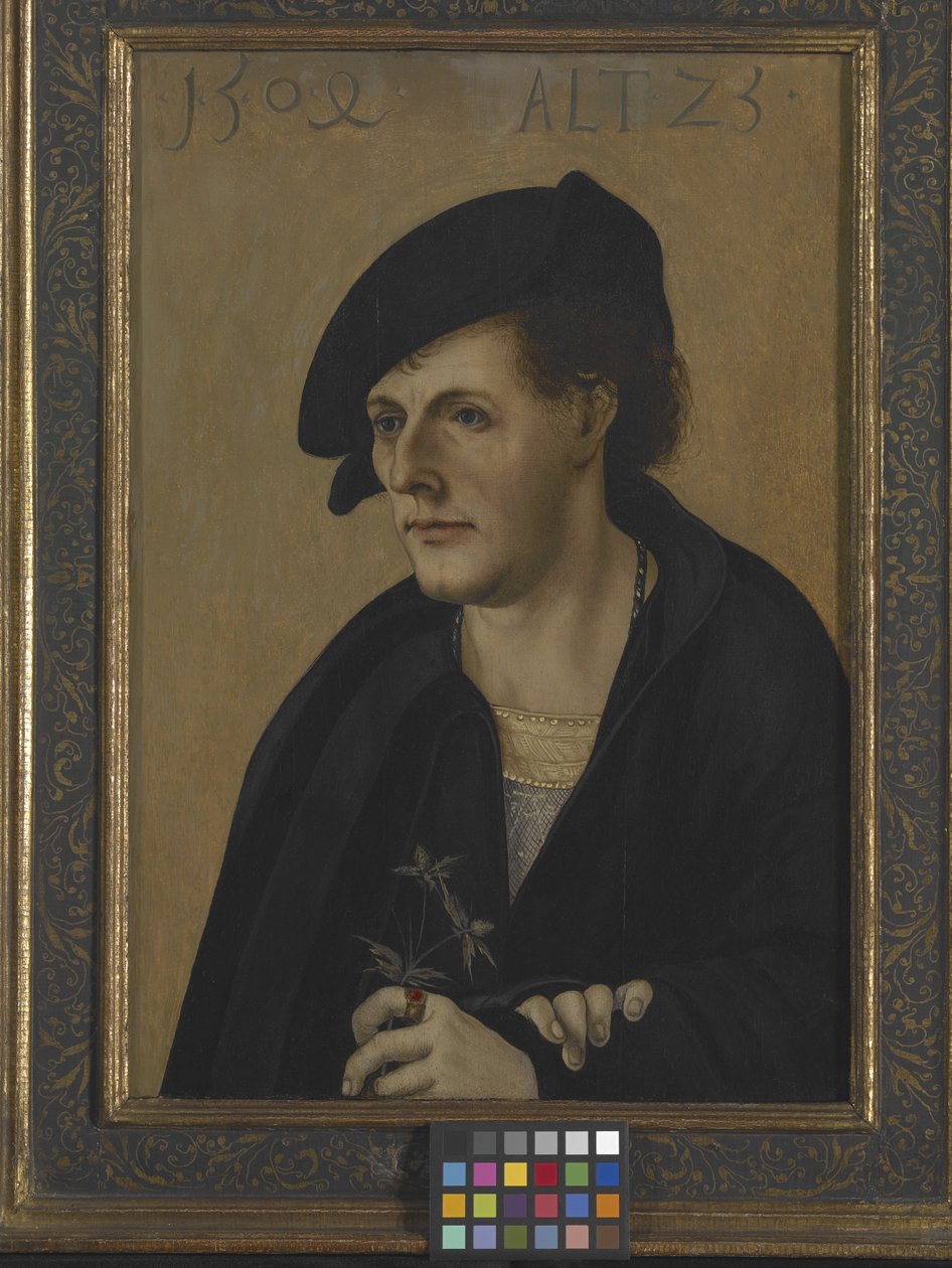 Retrato de um Jovem (óleo sobre madeira) de German School