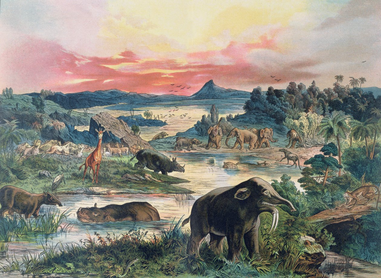 Pré-história - Terciário - reconstrução do ambiente natural na Europa e alguns dos animais deste período, 1886 de German School