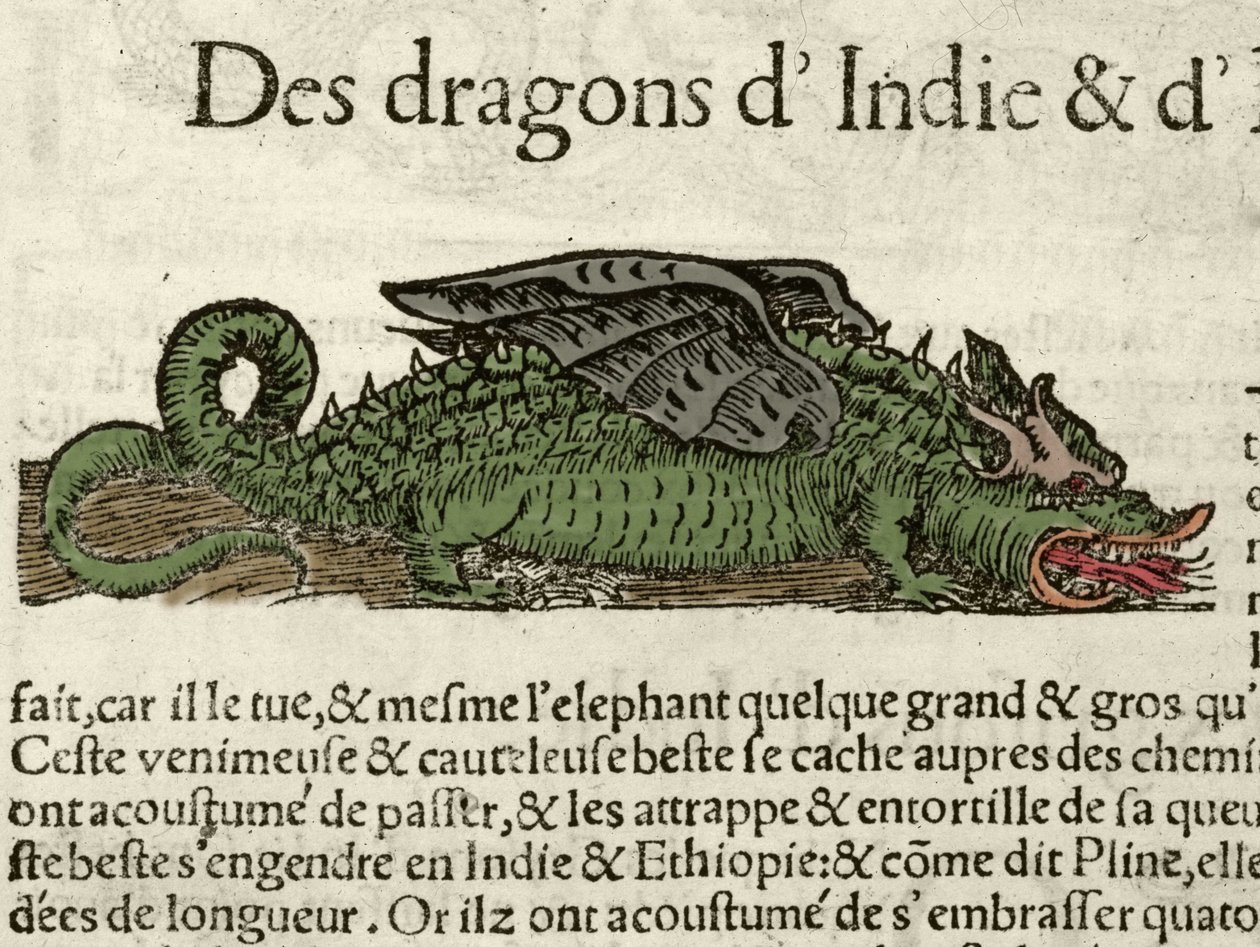 Representação de um dragão da Índia. Xilografia tirada da Cosmografia Universal de Sebastien Munster. Bale de German School