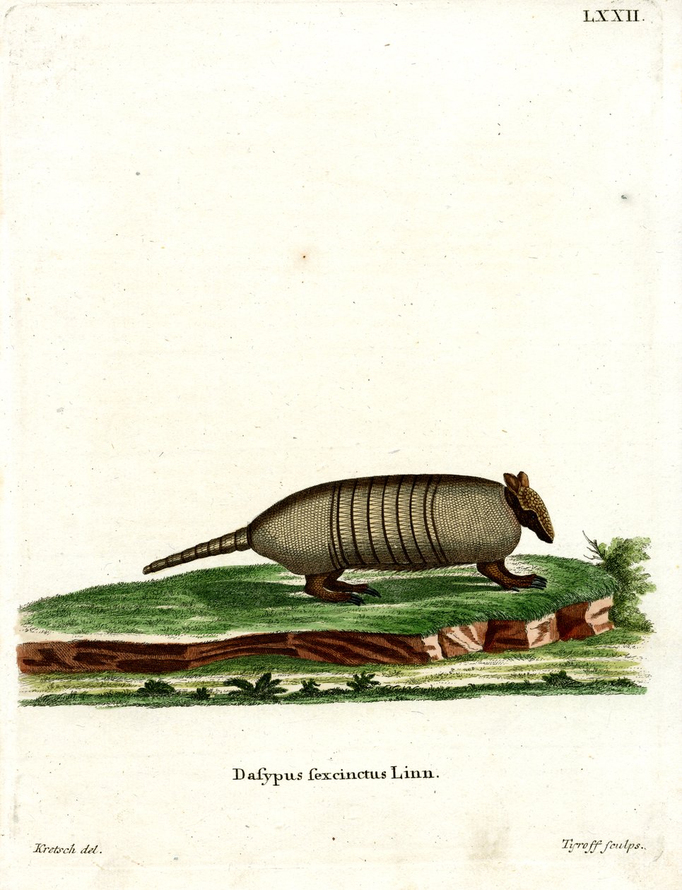 Armadillo de seis bandas (gravação a cores) de German School