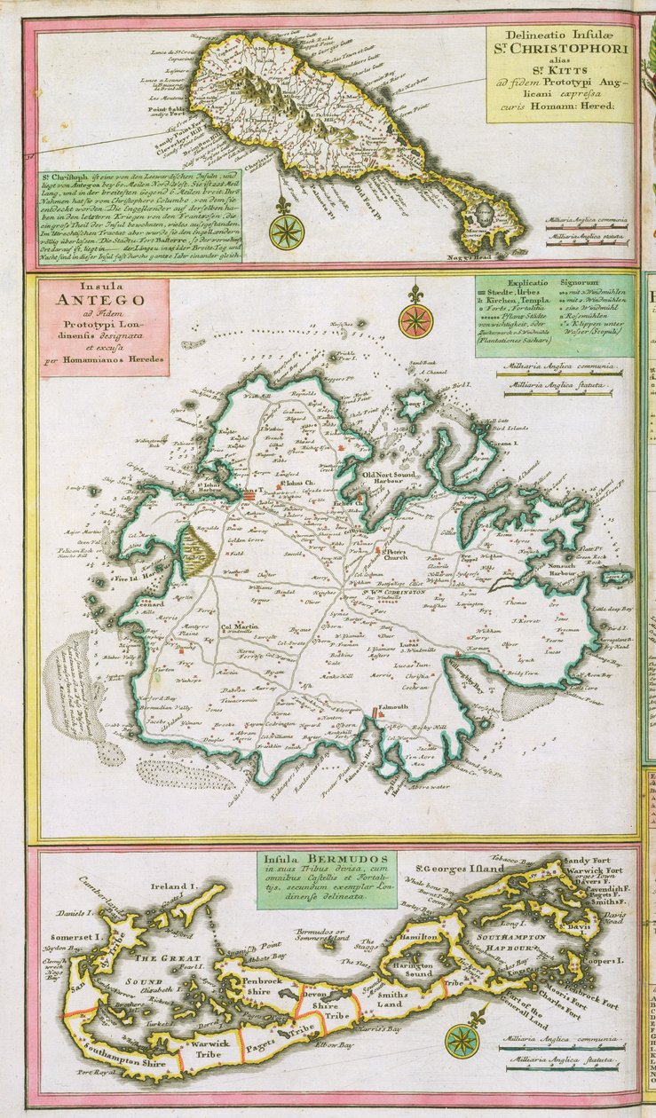 St. Kitts, Antigua e Bermuda, detalhe de um mapa de colônias inglesas nas Caraíbas, bar. por Homann "s herdeiros, Nuremburg, c.1750 de German School