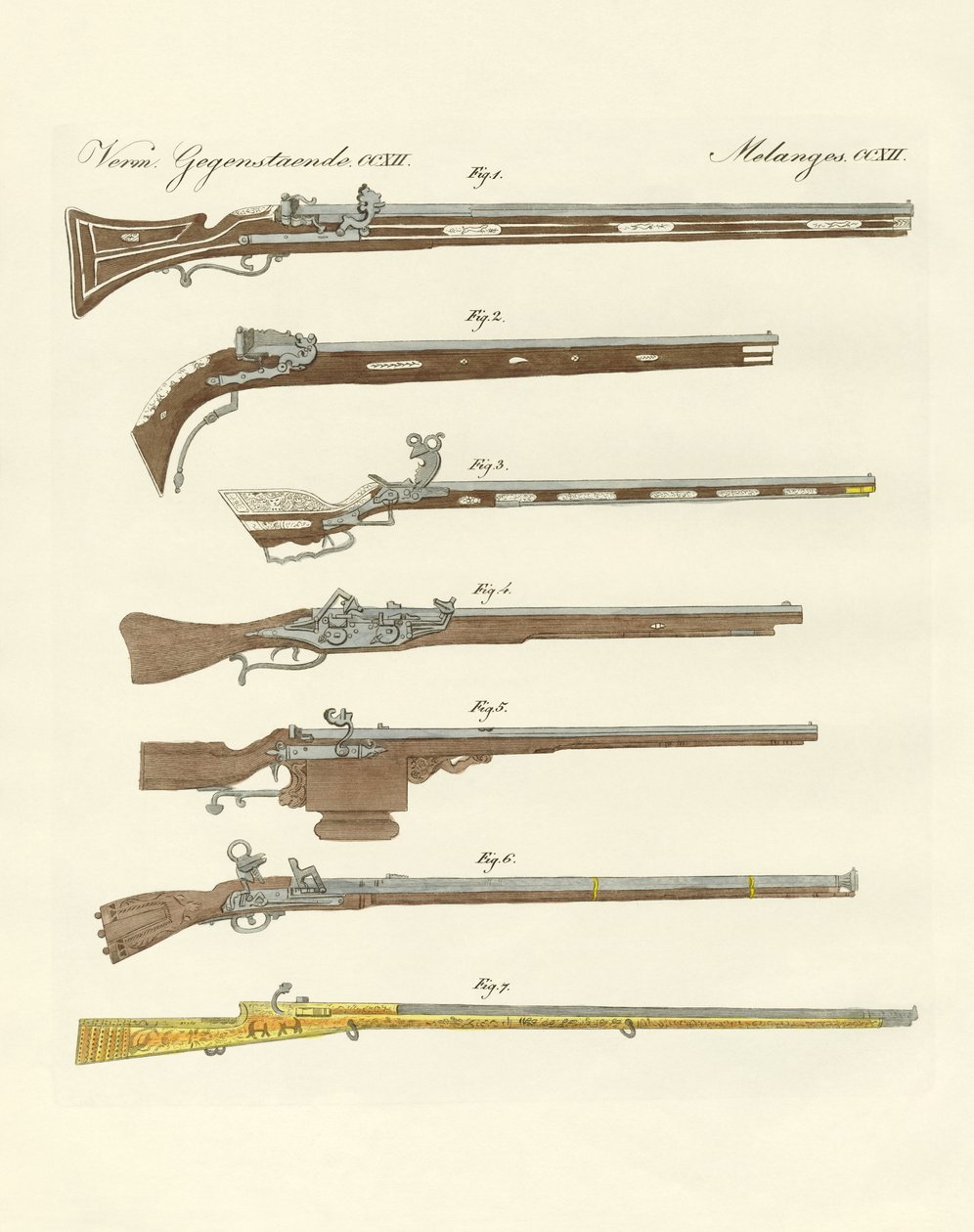 Estranhas armas de fogo (gravura colorida) de German School