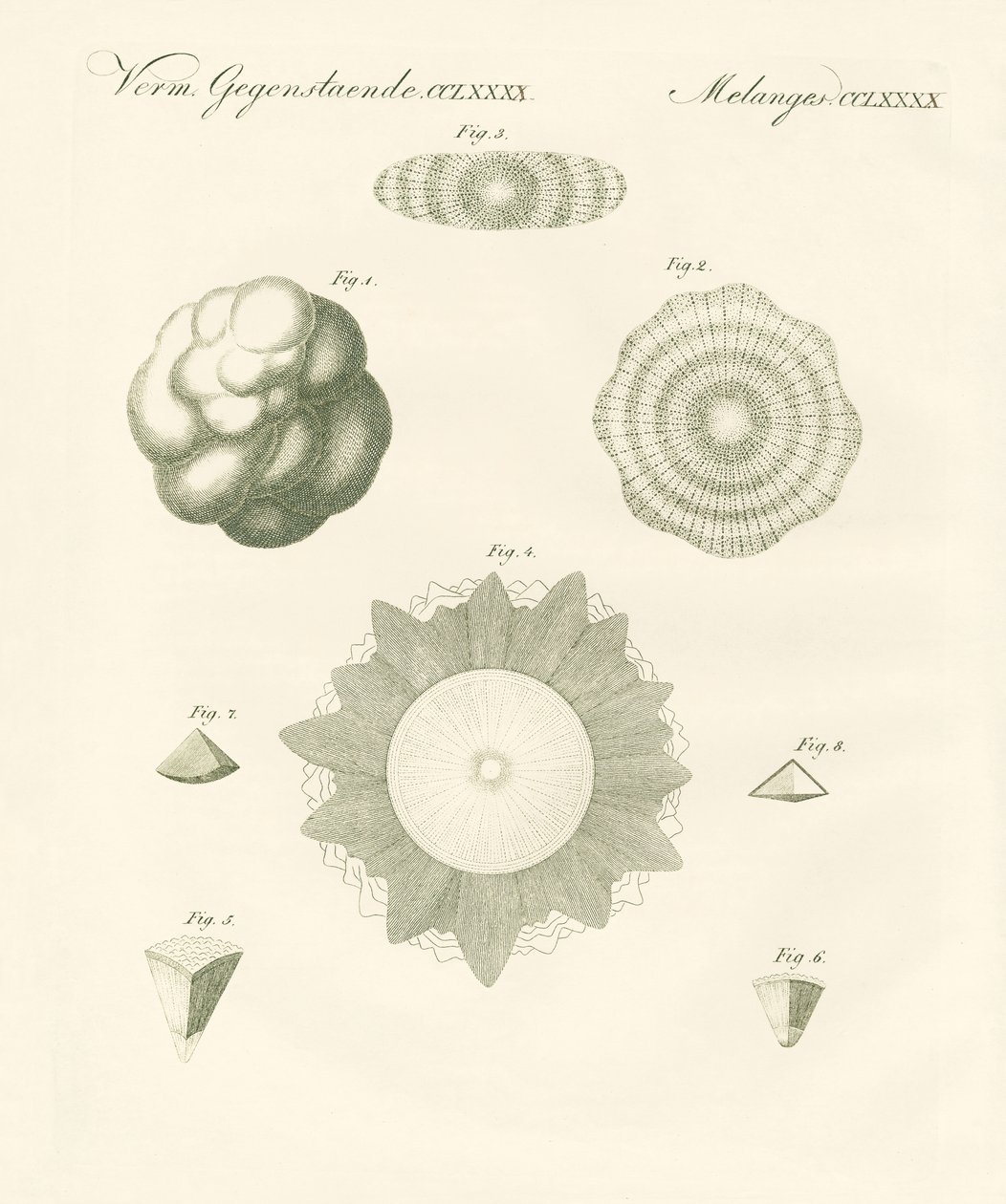 Estranhas pedras de granizo (gravação colorida) de German School