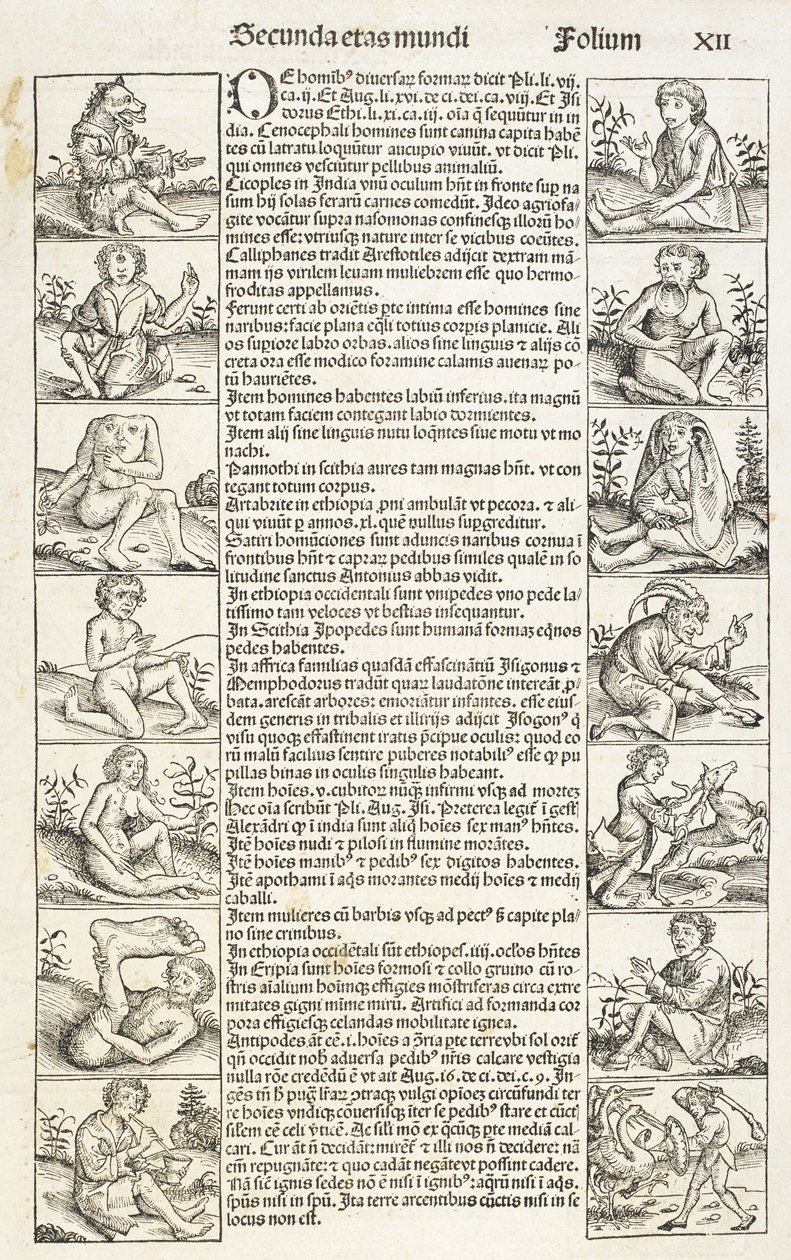 "Pessoas e criaturas estranhas", ilustração de "Liber chronicarum". Registrum hujus operis libri cronicarum...