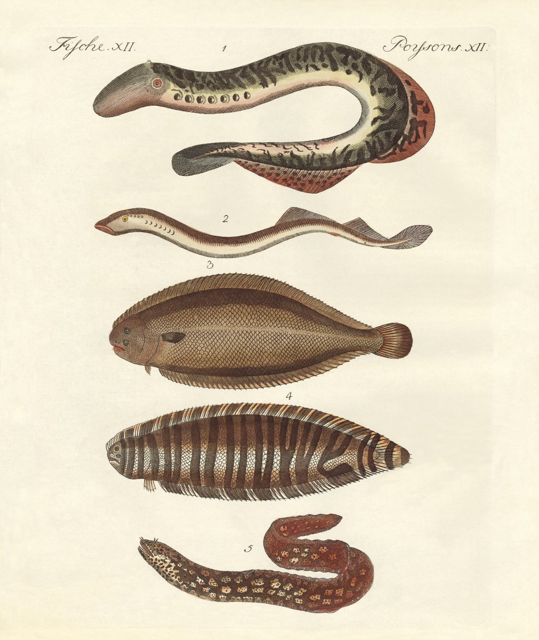 Saboroso peixe de German School