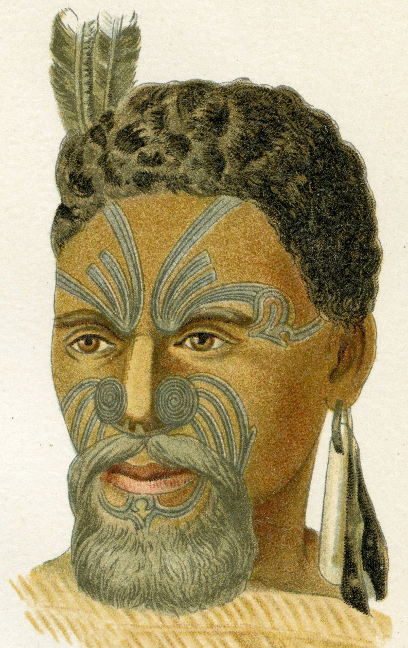 Rosto tatuado de um chefe maori, 1894 de German School