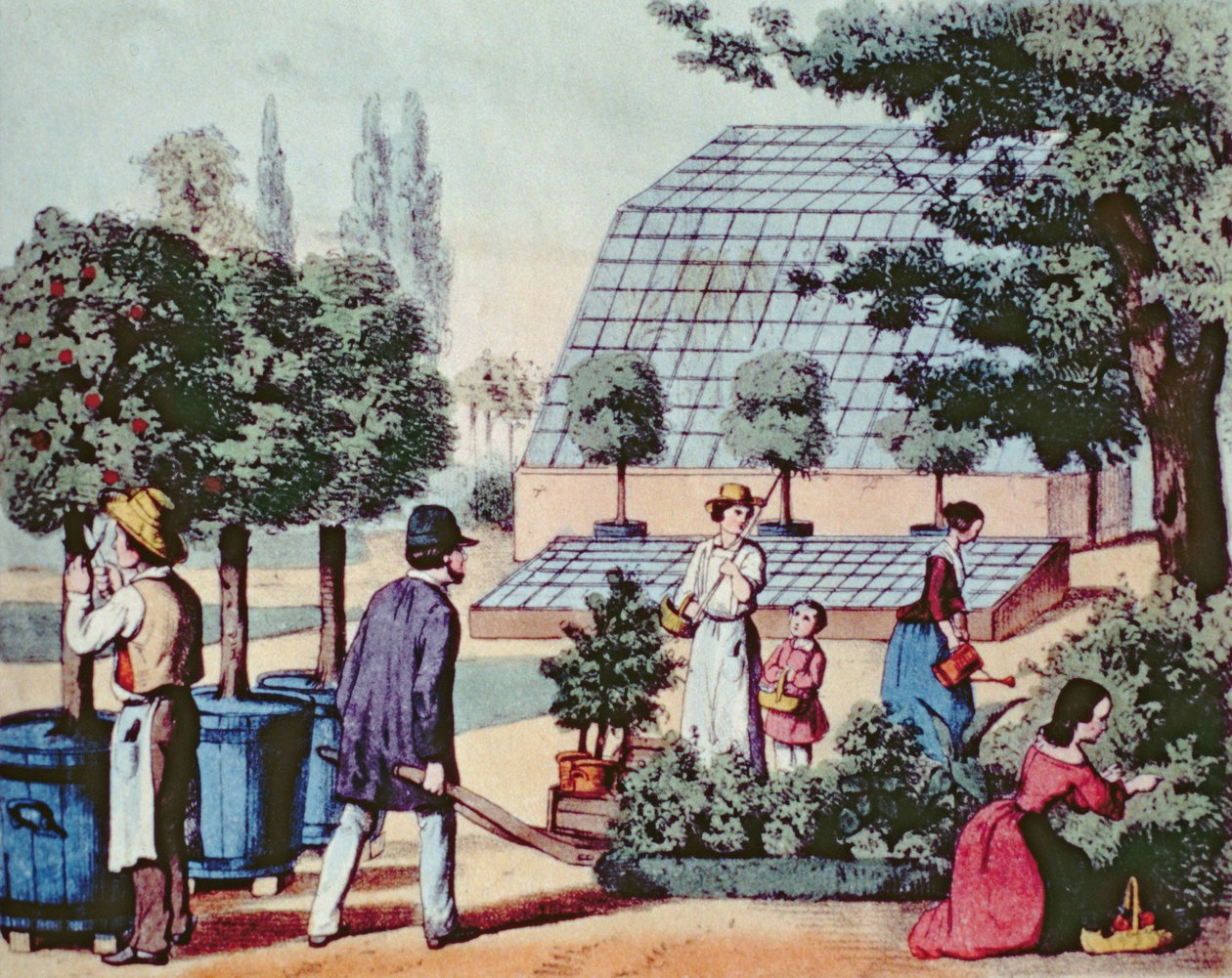 Cuidando do Jardim, c.1860 (gravura a cores) de German School
