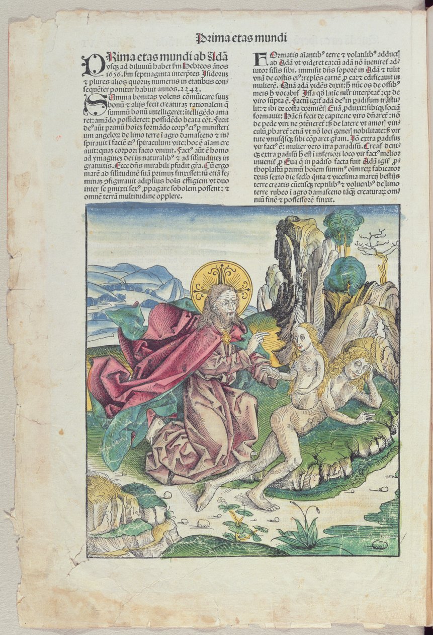 O nascimento de Eva, de &39;Liber Chronicarum&39; por Hartmann Schedel (1440-1514) 1493 (cor xilogravura) de German School
