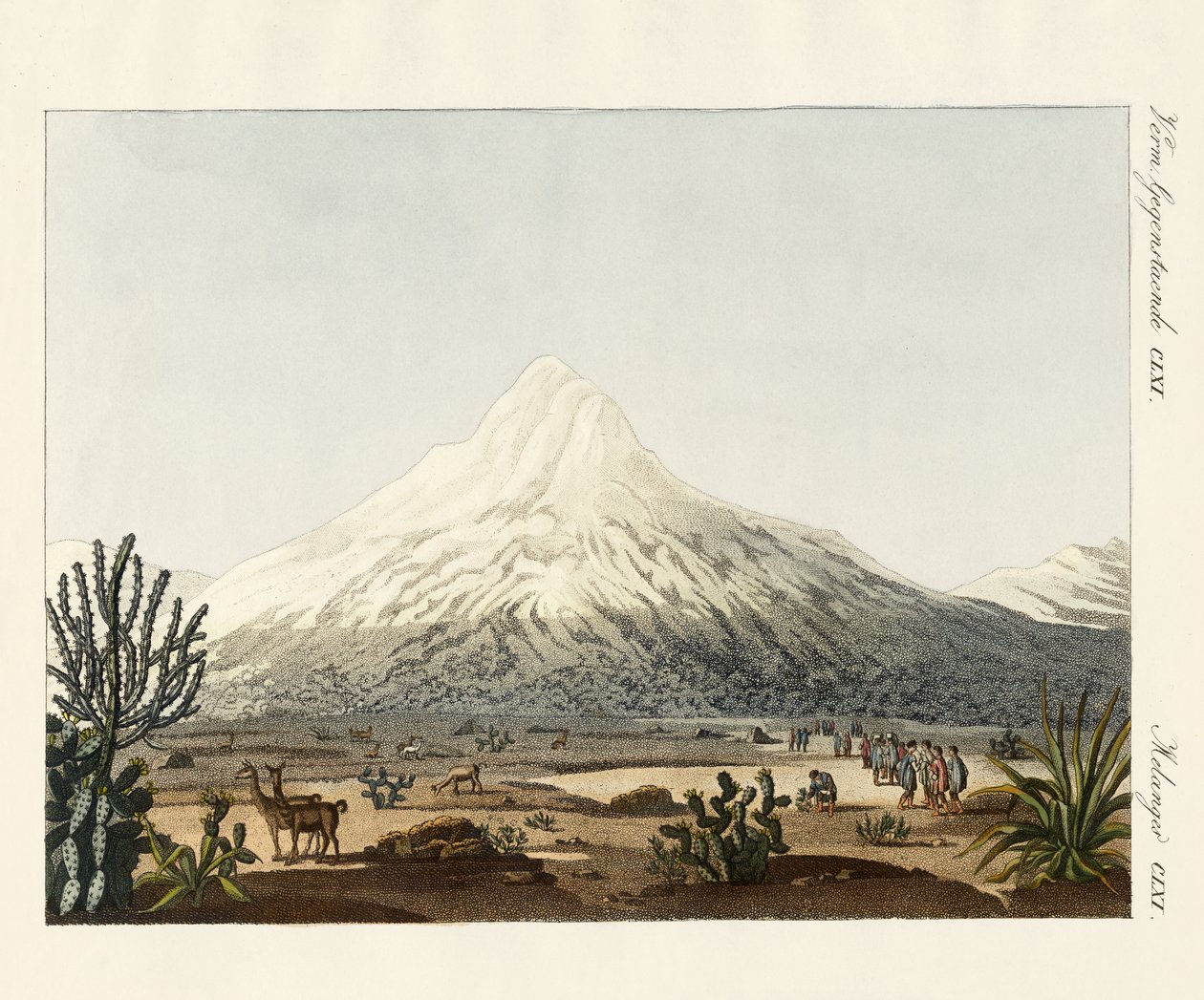 O Chimborazo na América do Sul de German School