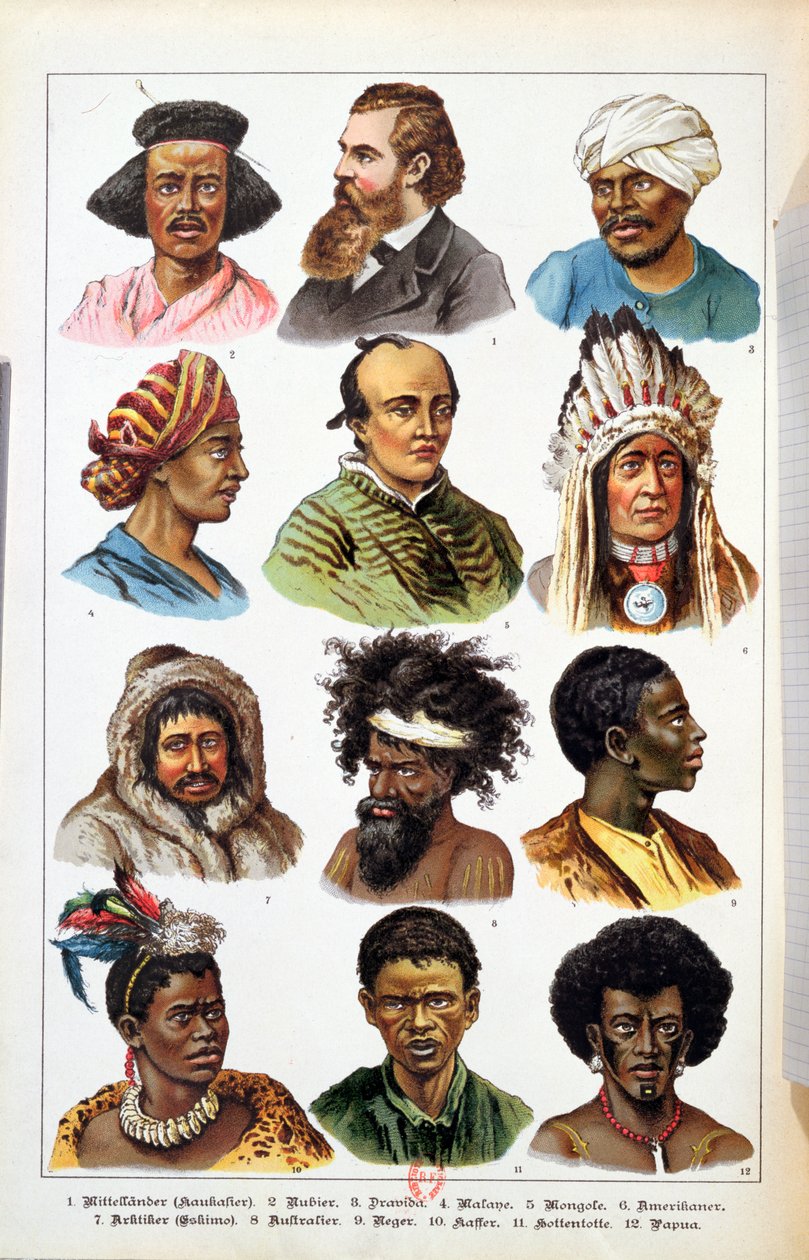 As diferentes raças humanas, da história natural do reino animal por Gotthelf Heinrich von Schubert (1780-1860), 1861 (gravura a cores) de German School