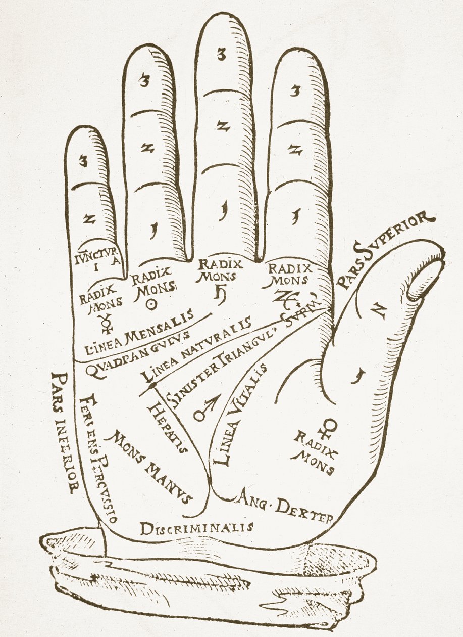 A mão direita, cópia de uma ilustração de Cerasariensis por Tricassus, Nuremberg 1560, usada em uma História da Magia, publicada no final do século XIX. de German School