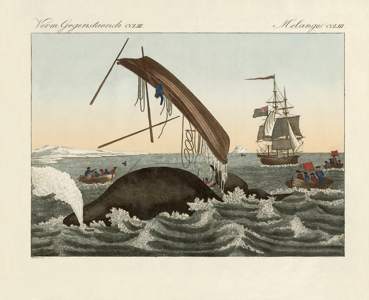 Os perigos da pesca da baleia (gravura colorida) de German School