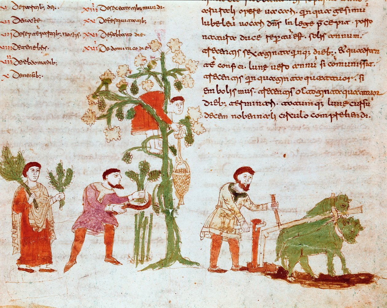As quatro estações: cena do arado e colheita das uvas (vindima). Miniatura do manuscrito "De Universo" (ou De rerum naturis (da natureza das coisas) (cód. 132) de Rabanus Maurus Magnentius (ou Raban Maurus ou Rabano Mauro) (ca. 780-856). 9º século de German School