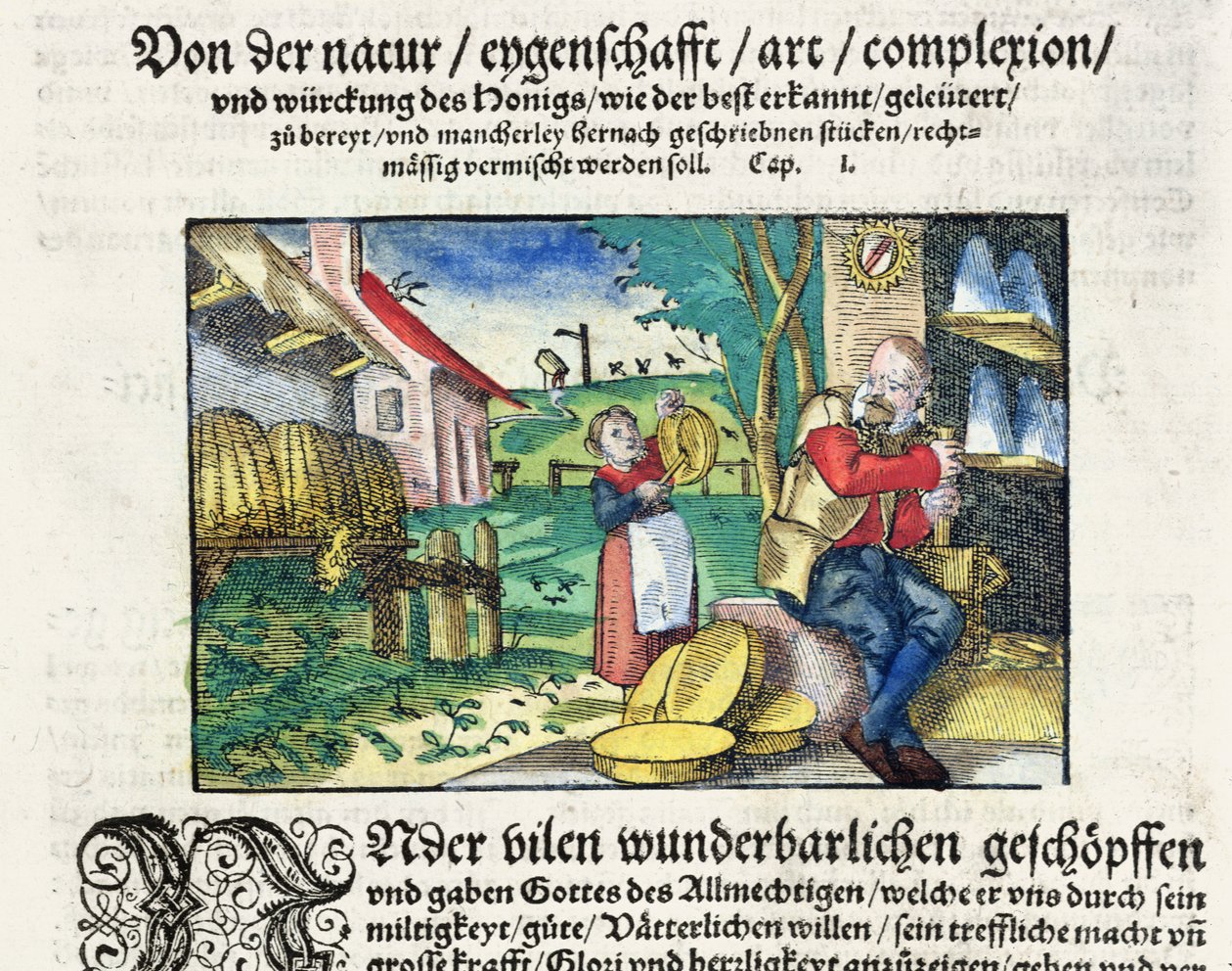 Os usos curativos e terapêuticos do mel na medicina, ilustração de um tratado alemão sobre medicamentos publicado em Estrasburgo em 1573 (xilogravura colorida) de German School