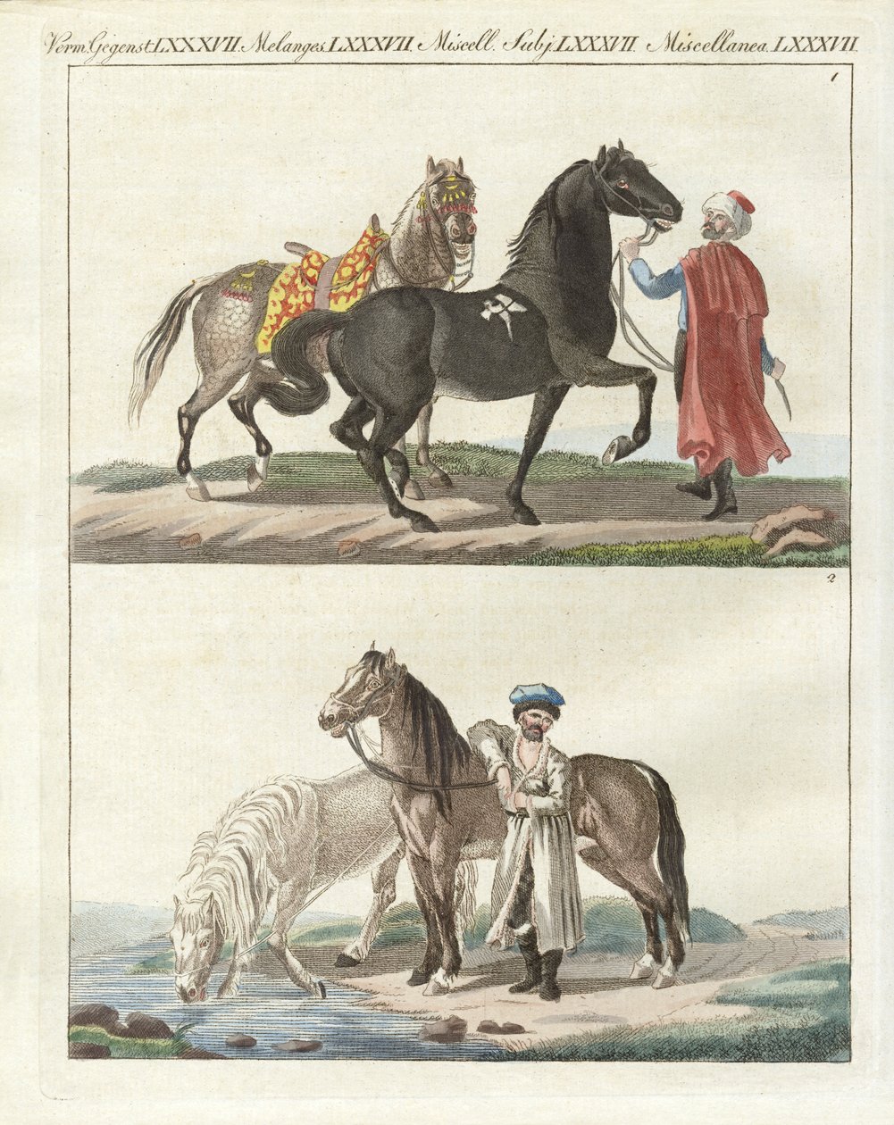 O cavalo com os seus diferentes tipos (gravura colorida) de German School