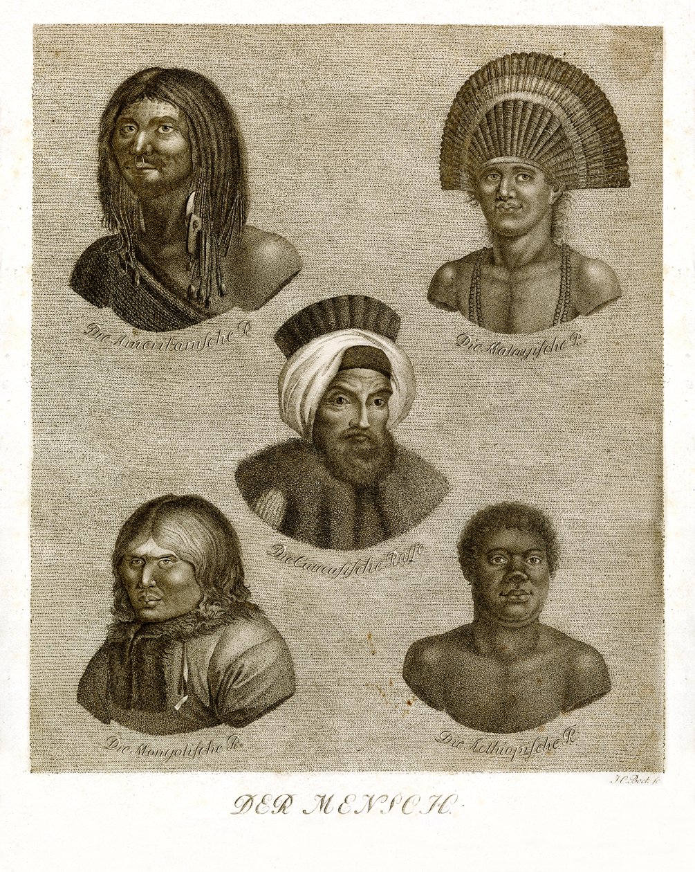 O humano (gravura colorida) de German School