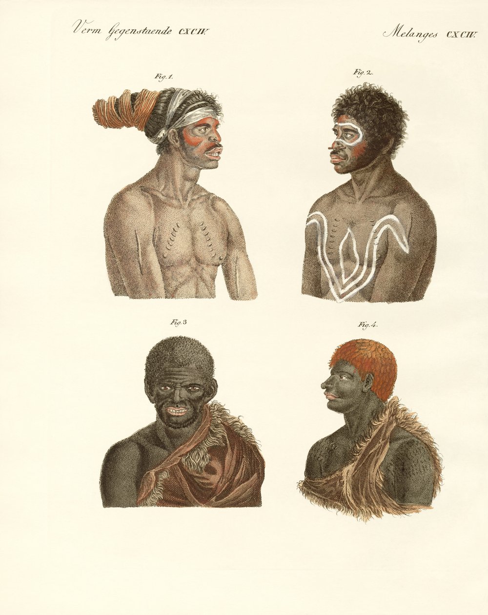 Os habitantes da Austrália (gravura colorida) de German School