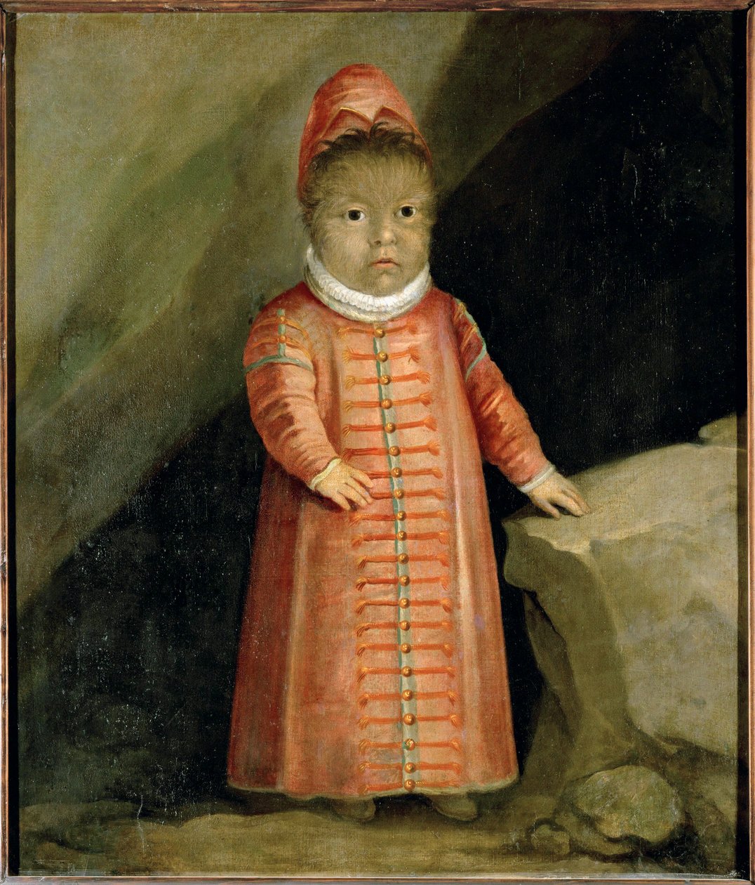 O filho de Petrus Gonzalvus foi examinado em 1596 ... de German School