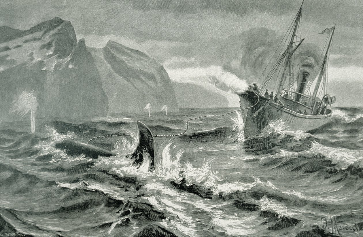 Usando um arpão de um barco a vapor rápido de German School