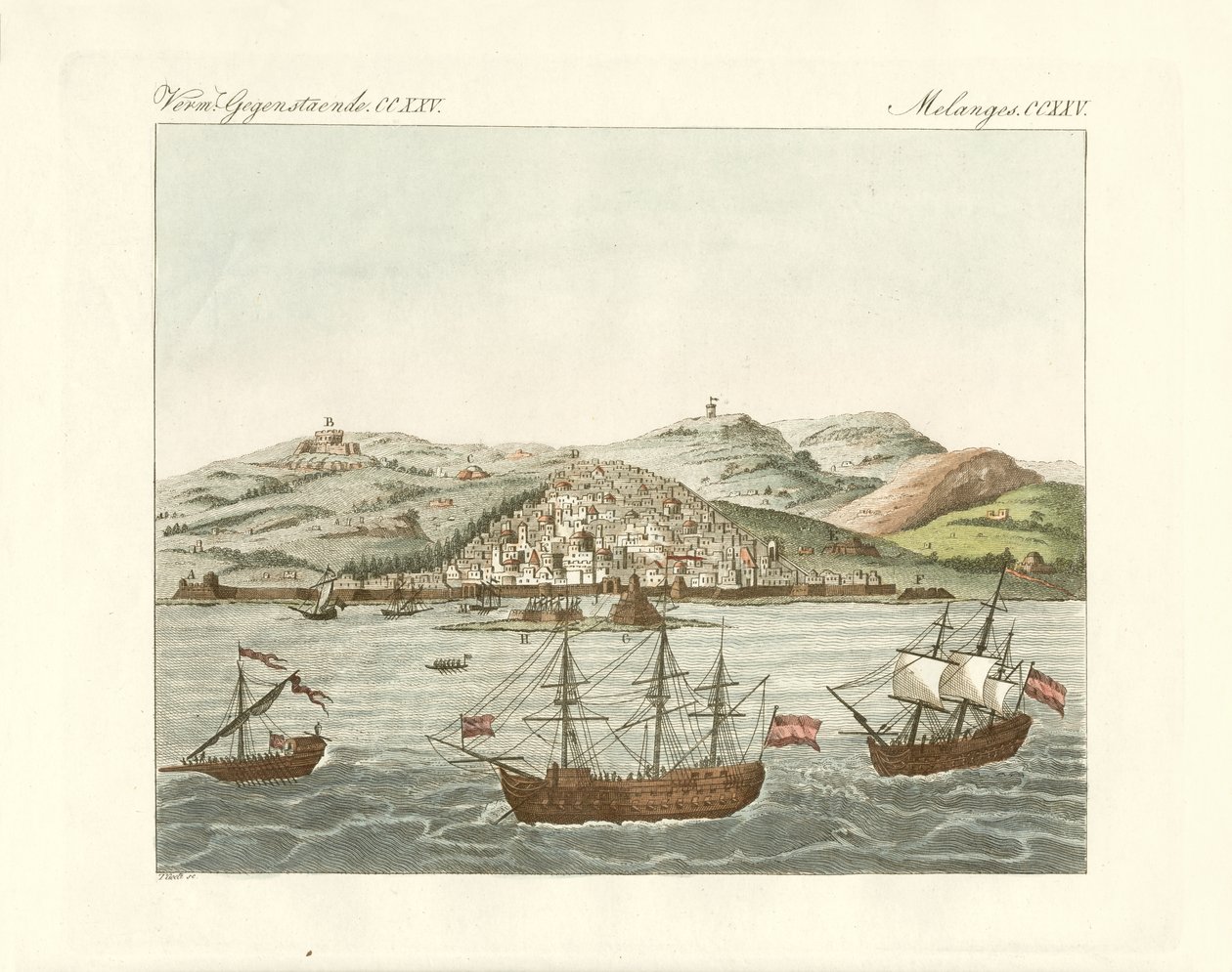 Vista da cidade de El Djazair (gravura colorida) de German School