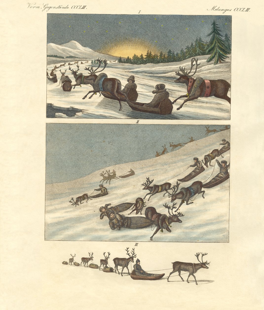 Viagens de inverno na Lapónia (gravura colorida) de German School