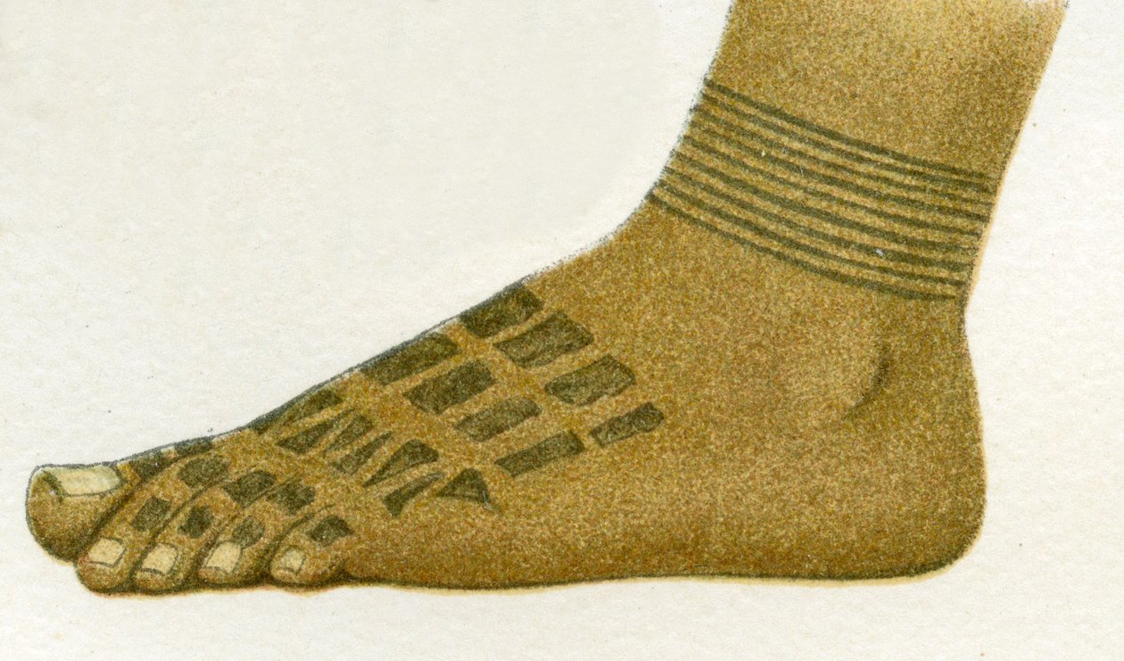 exemplo de desenhos de tatuagem de pé Dayak, Bornéu, 1894 de German School