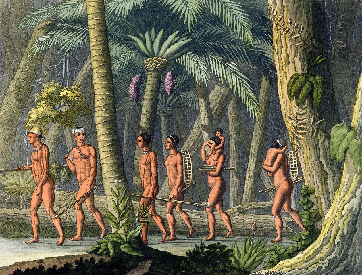 Nativos americanos Puri tribesmen em sua floresta, de &39;Le Costume Ancien et Moderne&39;, Volume I, placa 46, por Jules Ferrario, publicado c.1820s-30s (gravura de cor) (ver também 177058) de Gerolamo Fumagalli