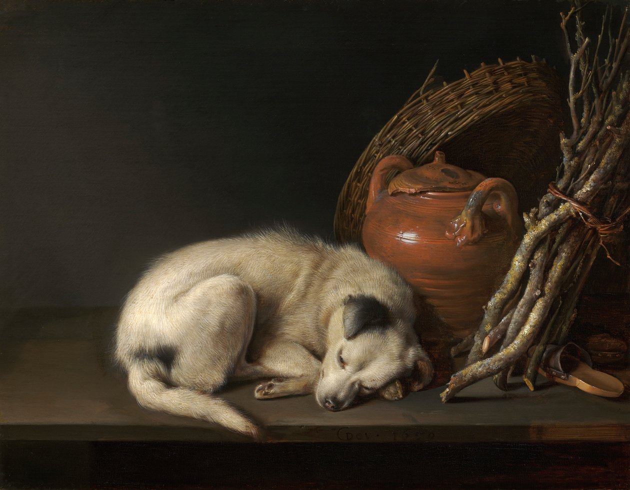 Um cão adormecido de Gerrit Dou