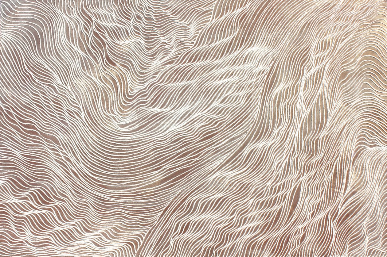 Journey 298, 2010 (areia e acrílico sobre tela) de Gerrit Greve